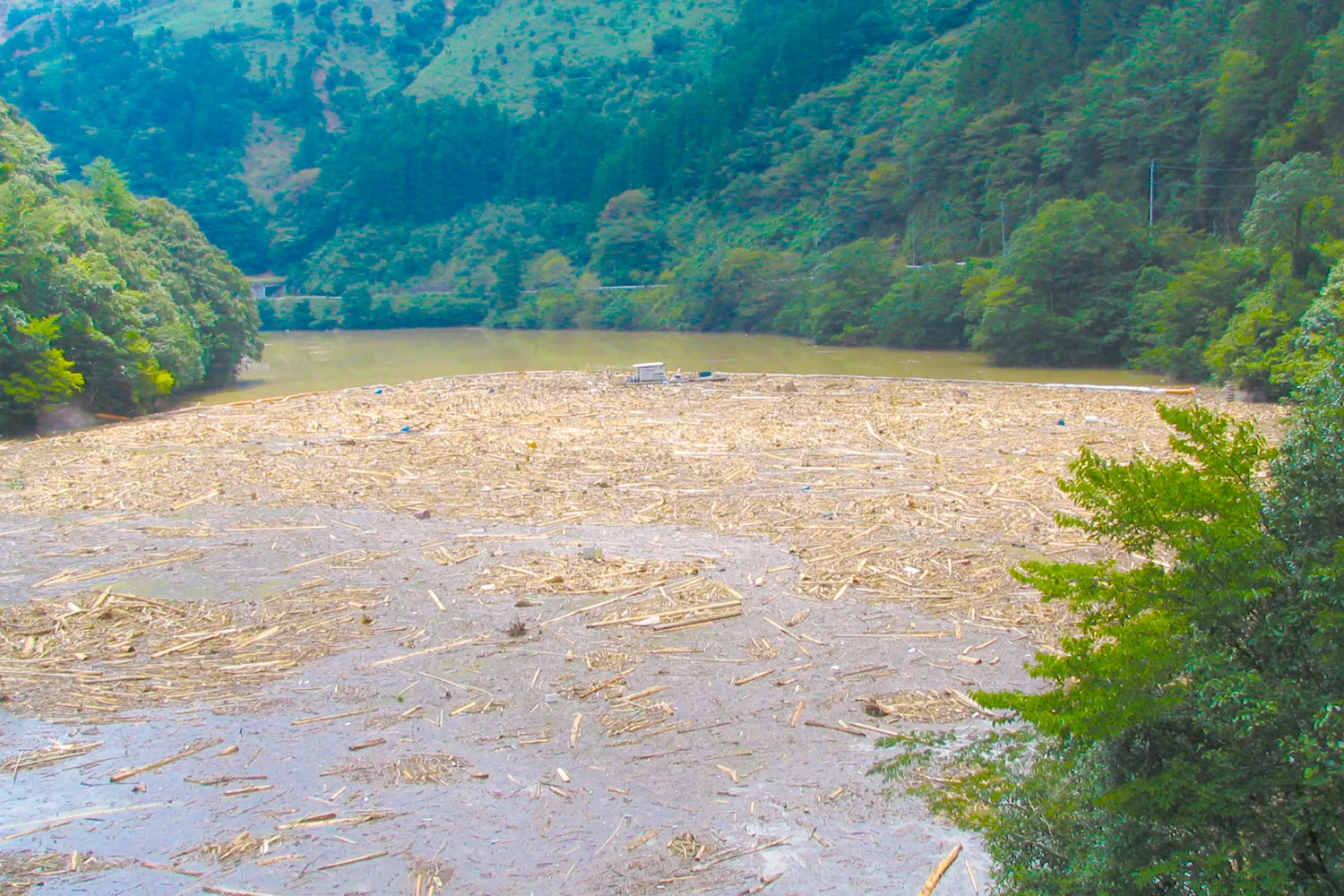 【開発環境】株式会社ニシコー